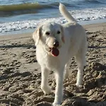 De Seinpost No 9 קלאנטסהוך